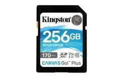 Kingston Carte SDXC Canvas Go! Plus UHS-I U3 V30 256 GB - Cartes Mémoire