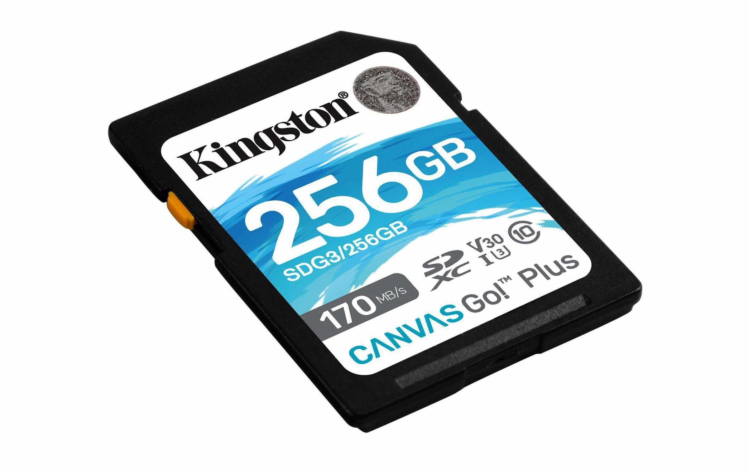 Kingston Carte SDXC Canvas Go! Plus UHS-I U3 V30 256 GB - Cartes Mémoire – Image 2