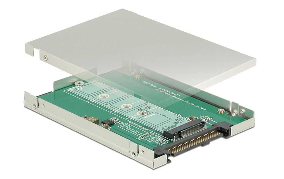 DeLock Accessoires Supports De Mémoire Platine Adaptatrice 2,5