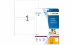 Herma Jaquette DVD 5037 Blanc25 Labels - Conservation