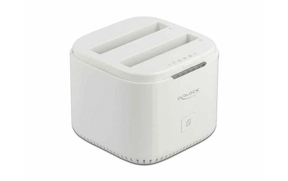 DeLock Accessoires Supports De Mémoire Station D’accueil Et De Clonage 63084 2x 2.5