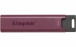 Kingston Clé USB DataTraveler Max 1024 GB - Sticks USB