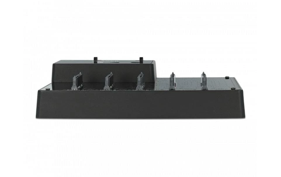 DeLock Accessoires Supports De Mémoire Station D’accueil Et De Clonage 64098 Pour 5x 2.5 – Image 3