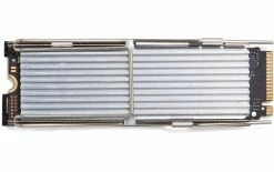 HP SSD M.2 2280 NVMe 1000 GB - SSD (Solid State Disks)