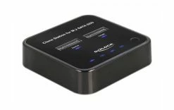 DeLock Station D'accueil Et De Clonage USB-C - 2x M.2 SATA - Accessoires Supports De Mémoire
