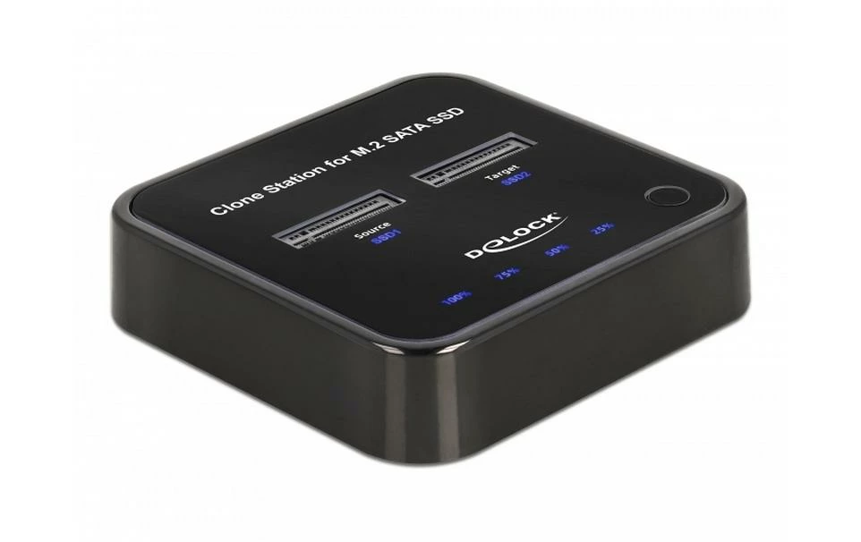 DeLock Station D'accueil Et De Clonage USB-C - 2x M.2 SATA - Accessoires Supports De Mémoire